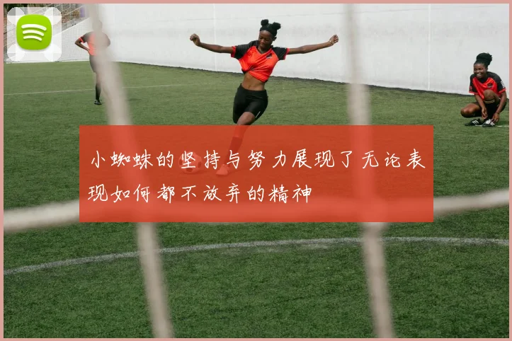 小蜘蛛的坚持与努力展现了无论表现如何都不放弃的精神